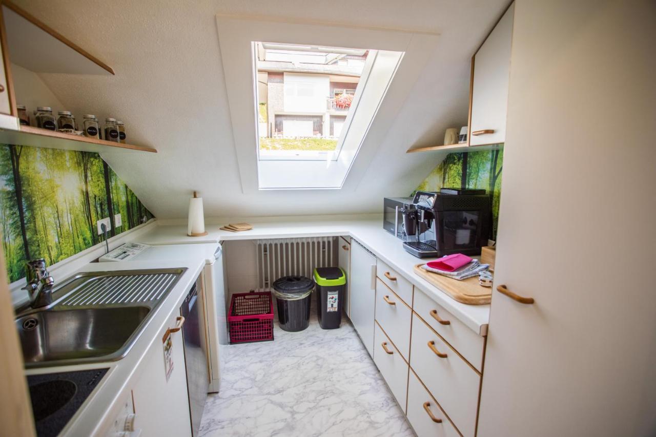 Appartement Auszeit Im Schwarzwald à Lenzkirch Extérieur photo
